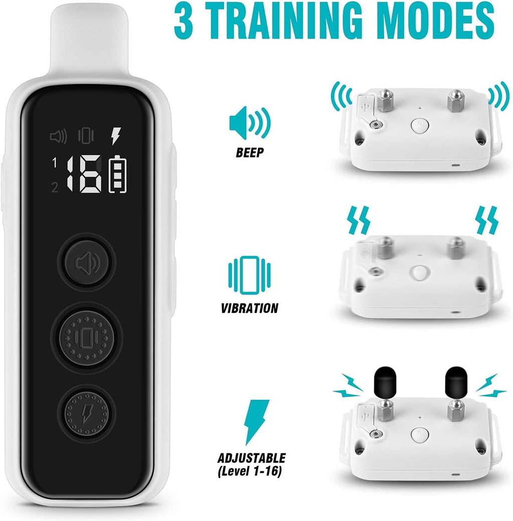 Bousnic dog training collar with remote, grey, showing remote and adjustable collar