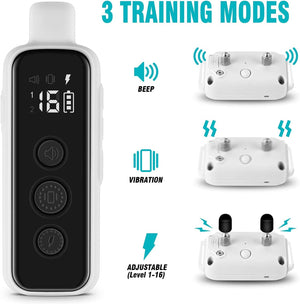 Bousnic dog training collar with remote, grey, showing remote and adjustable collar