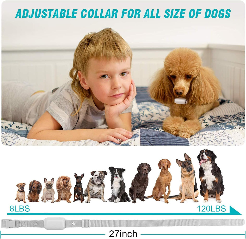 Bousnic dog training collar with remote, grey, showing remote and adjustable collar