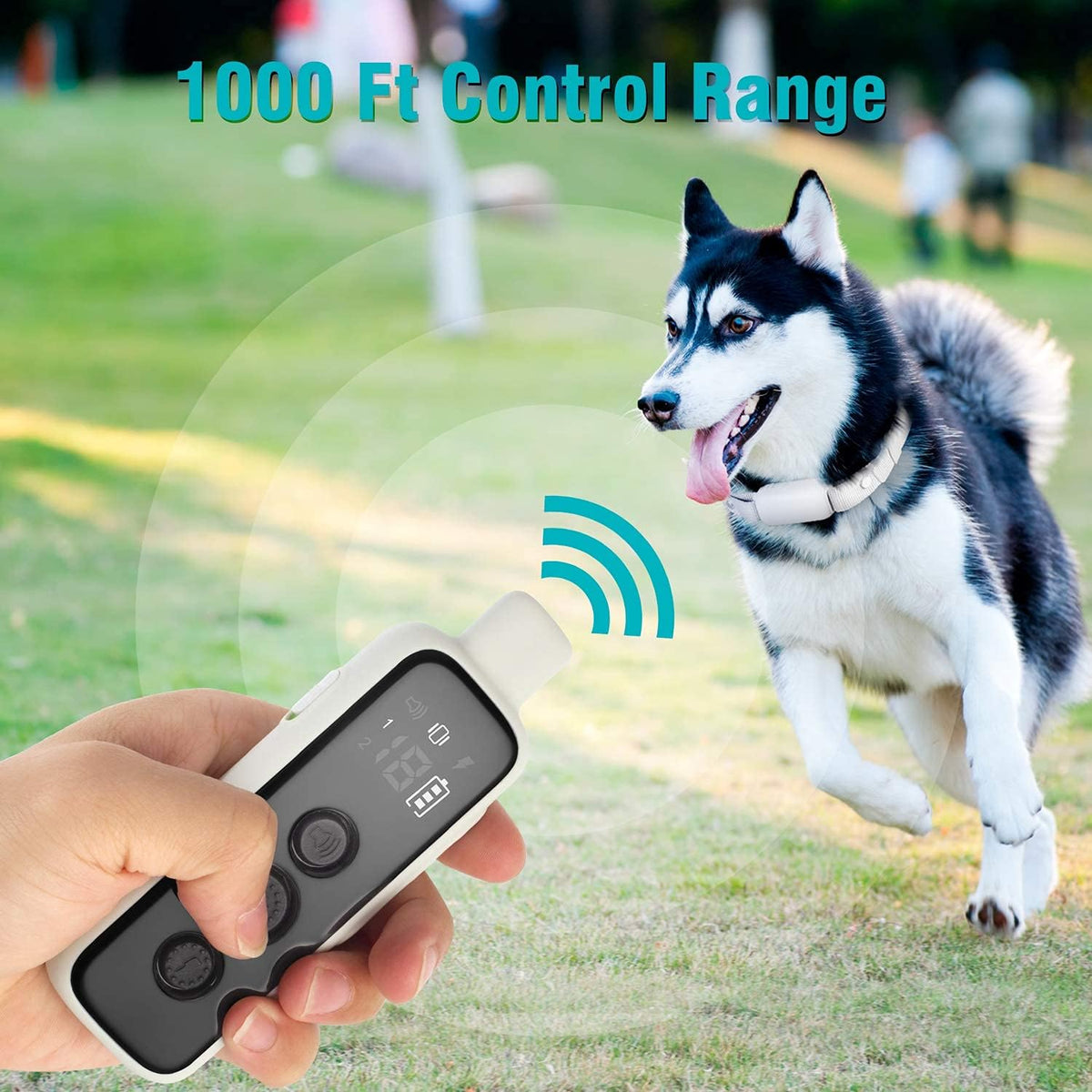 Bousnic dog training collar with remote, grey, showing remote and adjustable collar