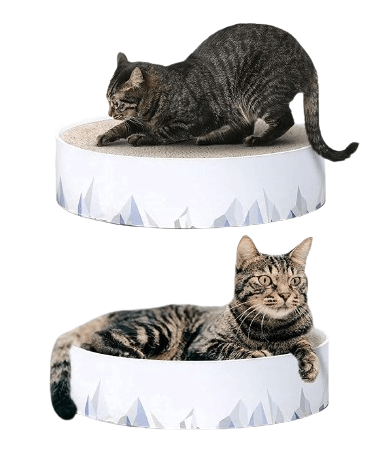 2in1 Cat Scratching Pad & Lounge Durable Indoor Cardboard