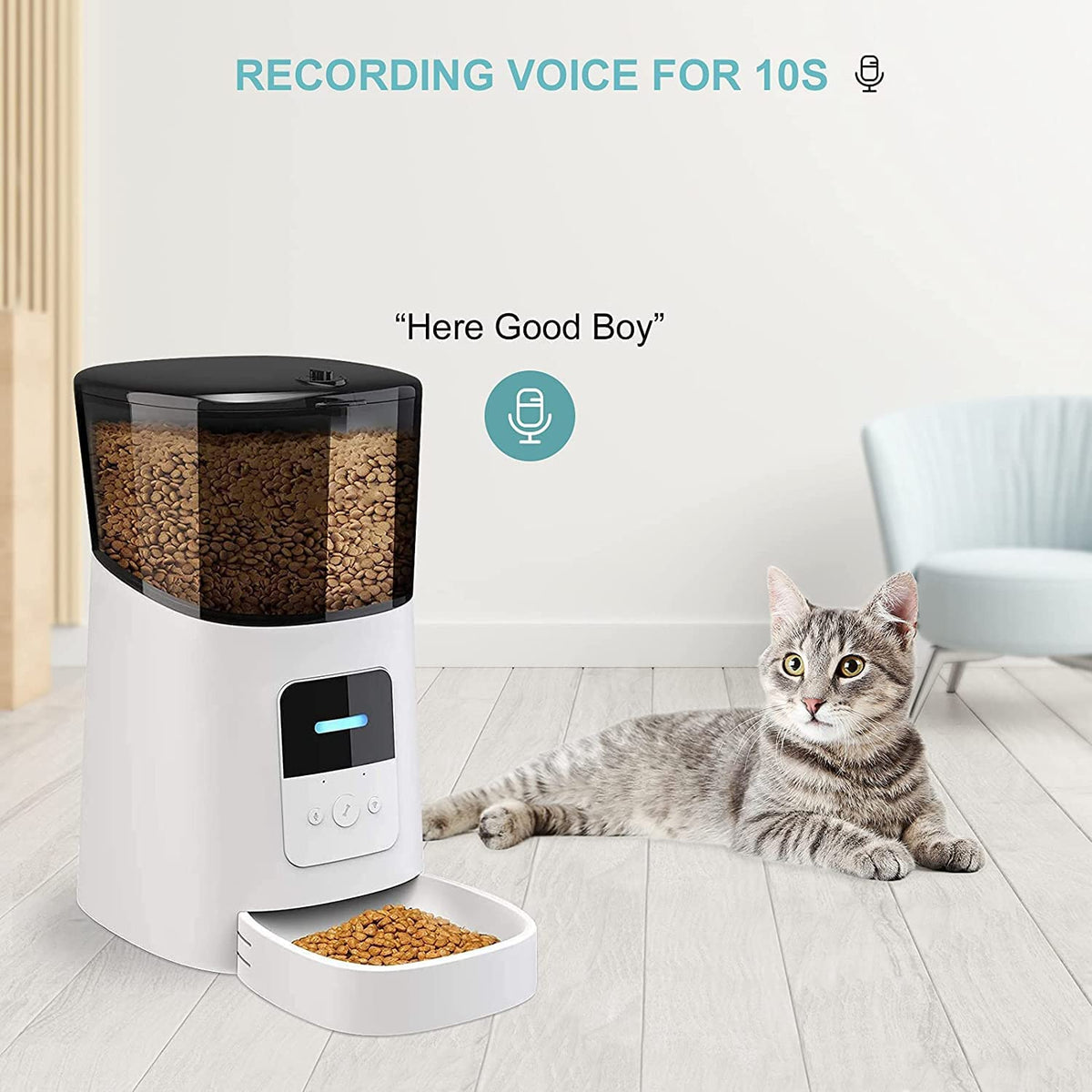 Smart Wi-Fi Enabled Automatic Cat Dog Pet Feeder
