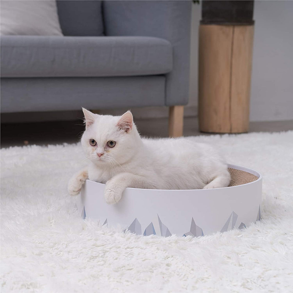 2in1 Cat Scratching Pad & Lounge Durable Indoor Cardboard