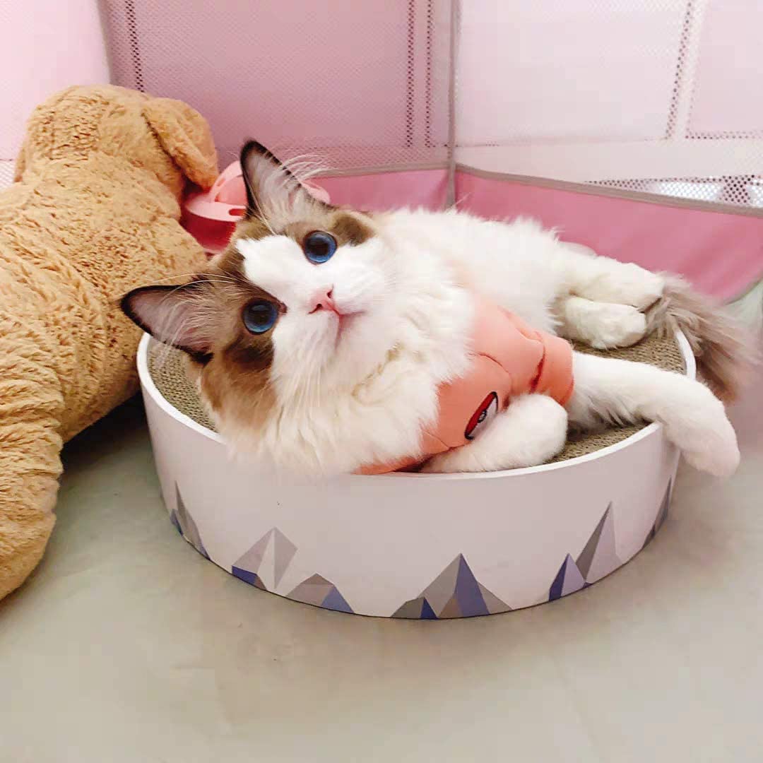 2in1 Cat Scratching Pad & Lounge Durable Indoor Cardboard