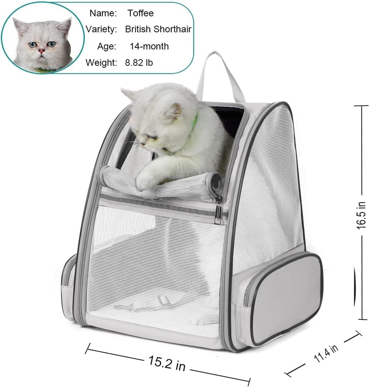 Cat Carrier Backpack - Pet Carrier with Transparent Hard Window for Small Dogs and Cats